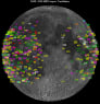 Lunar-impacts-NASA-meteoroid-offic.jpg