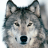 wolf1728