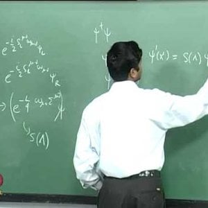 Quantum Field Theory by Dr. Prasanta Tripathy (NPTEL):- Lecture - 18: Fermion Quantization 2