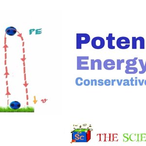 Potential Energy of a Particle | Work done by Conservative Forces
